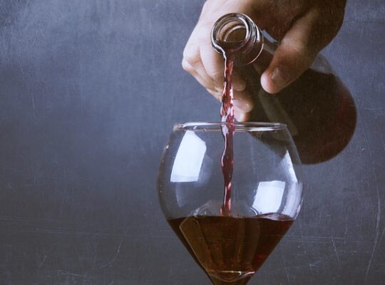 Fra Bordeaux til Pinot Noir: Hvilke rødvinsglas passer til forskellige druesorter?